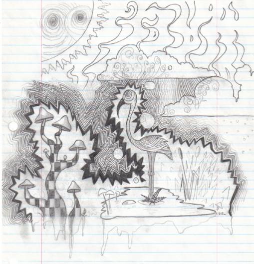 sdoodle